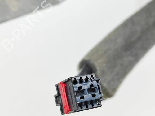 Licence plate light FORD TRANSIT CUSTOM V362 Van (FY, FZ) 2.0 EcoBlue mHEV | BP31715561I40 