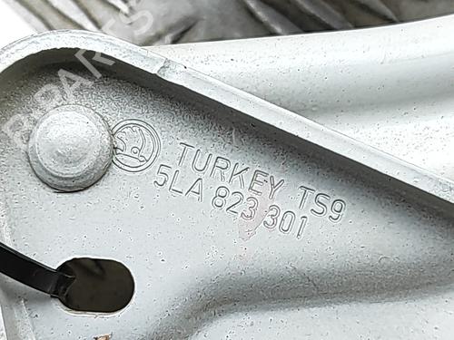 Hinge/Door check strap SKODA ENYAQ iV SUV (5AZ) 80 | BP30575153C146