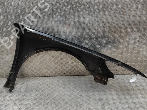 Left front fenders VW PHAETON (3D1, 3D2, 3D3, 3D4, 3D6, 3D7, 3D8, 3D9) 6.0 W12 4motion | BP27781519C41 