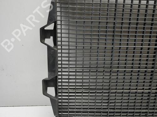 Grill RENAULT MASTER III Van (FV) 2.3 dCi 180 FWD (FV04, FV07) | BP38184581C40 - Image 3