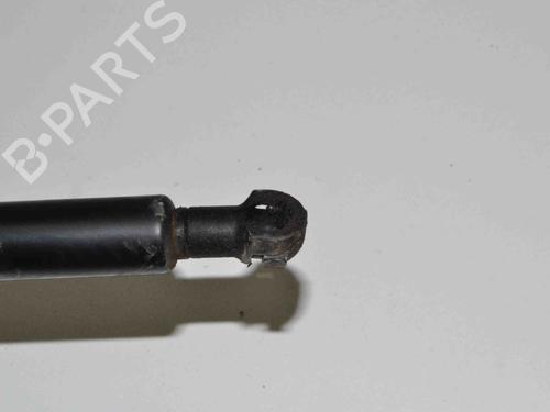 Hood lift support BMW 3 Coupe (E92) 335 d | BP30268831C139