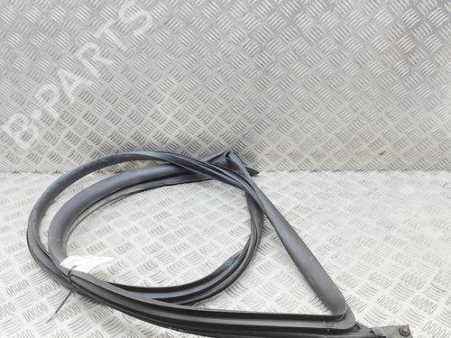 Gummiliste TESLA MODEL 3 (5YJ3) EV | BP37445420C142 - Image 2