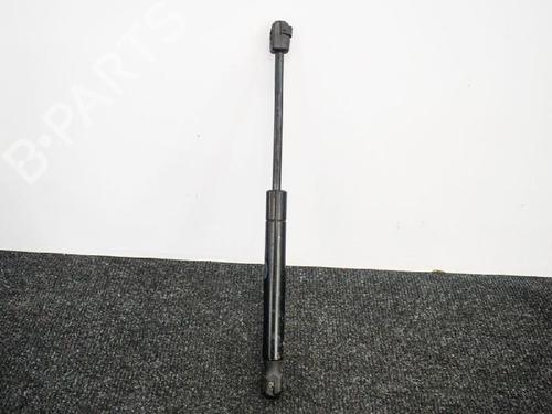 Hood lift support LAND ROVER RANGE ROVER EVOQUE (L538) 2.2 D 4x4 | BP14665046C139 