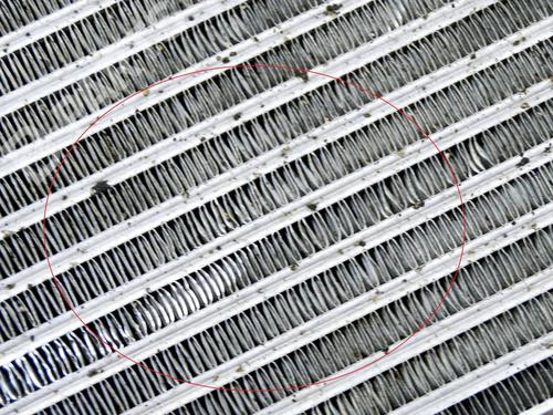 Køler BMW X5 (G05, F95) xDrive M 50 d | BP12099228M31 