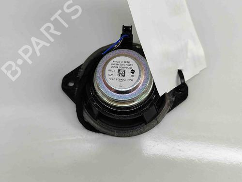 Speaker TESLA MODEL X (5YJX) P100D AWD | BP25995974E2