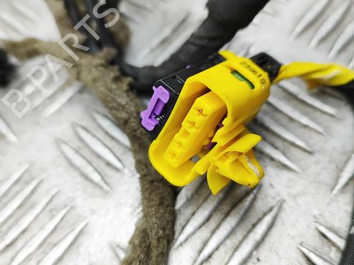 Ledningsnet FERRARI CALIFORNIA 4.3 | BP32119249E16 