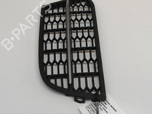 Grille BMW 5 Touring (F11) M 550 d xDrive | BP24819357C40 