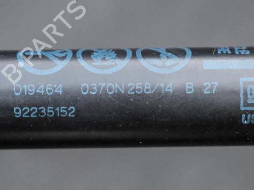 Hinge/Door check strap CHEVROLET CAMARO 3.6 | BP14656048C146