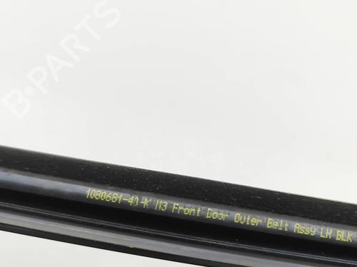 Dørlist TESLA MODEL 3 (5YJ3) EV | BP32269333C150 