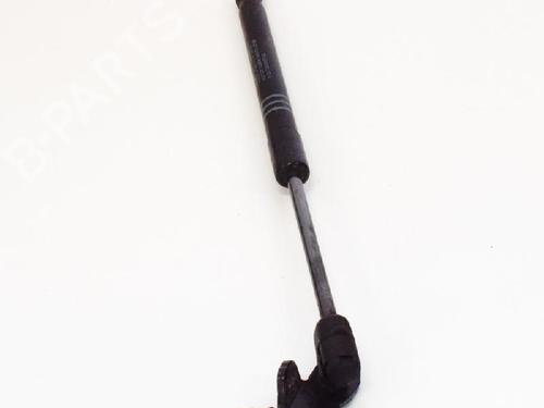 Hood lift support BMW 5 (F10) 520 d | BP14608456C139 
