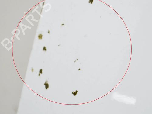 Hood SMART FORFOUR Hatchback (453) 0.9 (453.044, 453.053) | BP10527282C1 