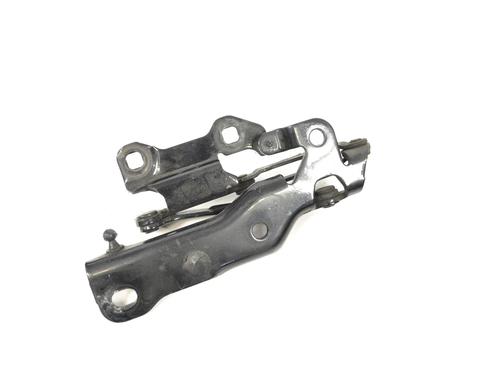 Hinge/Door check strap JAGUAR XJ (X350, X358) D 2.7 | BP30267219C146