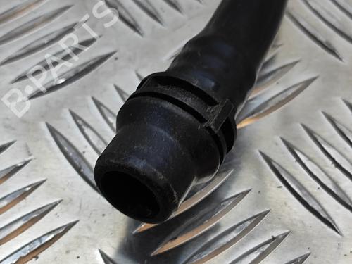 Pipe BMW 7 (G11, G12) 730 d | BP19500902M125 