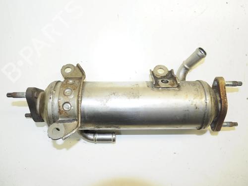 Egr CHEVROLET CAPTIVA (C100, C140) 2.0 D | BP33346520M69 - Image 4