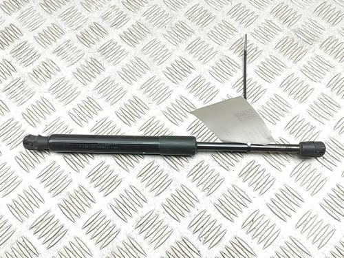 tailgate-lift-support-tesla-model-3-5yj3-2017-33732555 main image