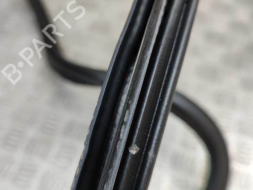Rubber door seal AUDI Q5 (FYB, FYG) 2.0 TFSI quattro | BP16140530C142