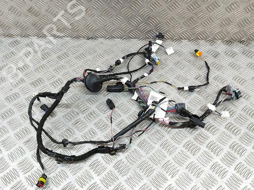 Wiring harness TESLA MODEL X (5YJX) 90D AWD | BP20337224E16 