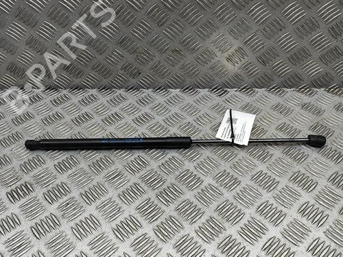 Used Hood lift support FORD RANGER (TKE) 2.0 EcoBlue 4x4 (213 hp) 29975609