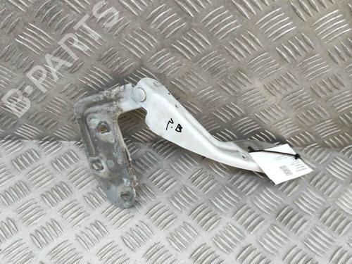Hinge/Door check strap PORSCHE CAYENNE (92A) 3.0 Diesel | BP17865030C146