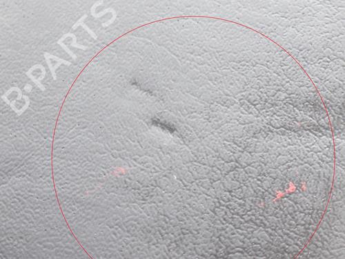 Other TESLA MODEL S (5YJS) P100D AWD | BP8836339O1