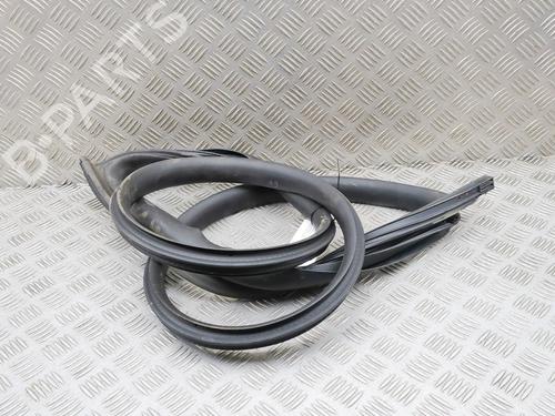 Gummiliste TESLA MODEL 3 (5YJ3) EV | BP38466978C142 - Image 3