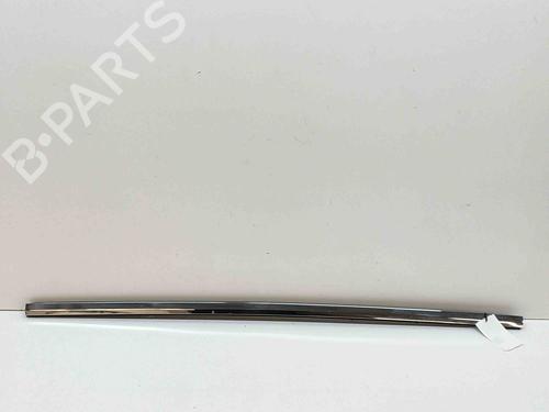 Door moulding trim TESLA MODEL X (5YJX) P100D AWD | BP28435662C150