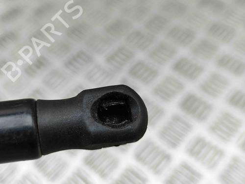 Hood lift support BMW X1 (F48) sDrive 18 d | BP29730970C139 