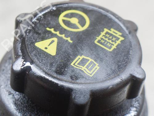 Power steering reservoir FORD TRANSIT V363 Van (FCD, FDD) 2.2 TDCi | BP14619038M117 