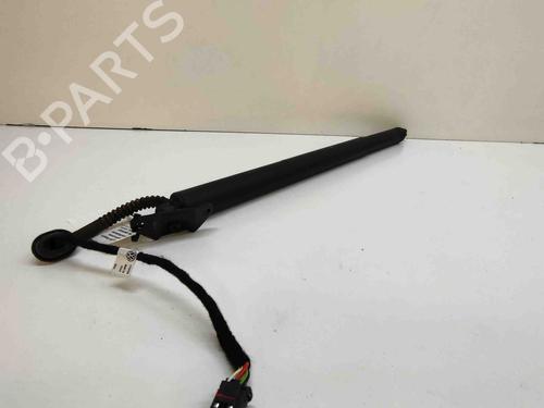 Used Tailgate lift support VW PASSAT B8 Variant (3G5, CB5) 2.0 TDI (150 hp) 27158614