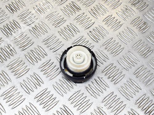 Fuel cap LAND ROVER DISCOVERY II (L318) 2.5 Td5 4x4 | BP14630862C161 