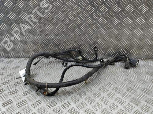 Kabelboom FORD RANGER (TKE) 2.0 EcoBlue 4x4 (213 hp) 29975645