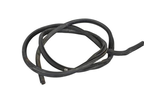 Gummiliste DODGE RAM 1500 Pickup (DJ, DS) 5.7 4x4 (350 hp) 30249370