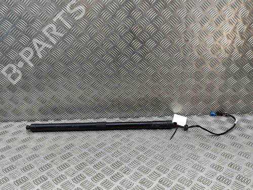 Tailgate lift support PORSCHE PANAMERA (970) 3.0 D | BP29487123C138 