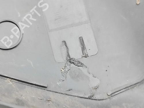 Scuttle panel RENAULT MASTER III Van (FV) 2.3 dCi 145 FWD (FV0E, FV0F, FV0H, FV02, FV0M, FV0S,... | BP31686887C110 