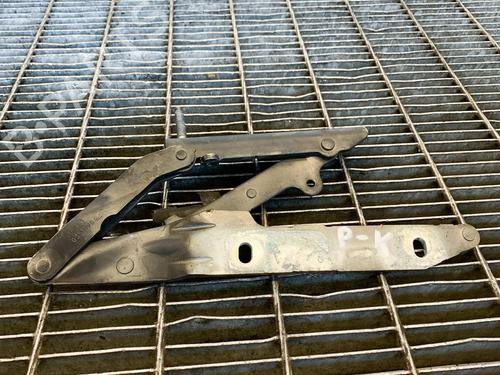 Used Hinge/Door check strap LAND ROVER DISCOVERY IV (L319) 3.0 SDV6 4x4 (256 hp) 14614109