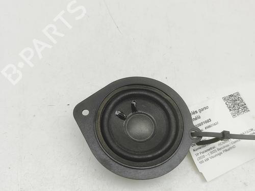 speaker-renault-arkana-i-lcm_-ldn_-2019-35727047 main image