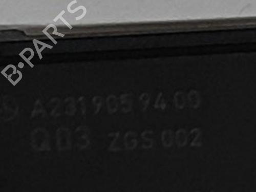 Electronic module MERCEDES-BENZ AMG GT (C190) GT (190.377) | BP28101823M83 
