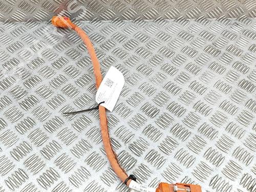 Wiring harness VW GOLF VII (5G1, BQ1, BE1, BE2) e-Golf | BP19076595E16 