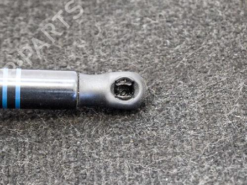 Hood lift support BMW 1 (F20) 120 d | BP14667239C139