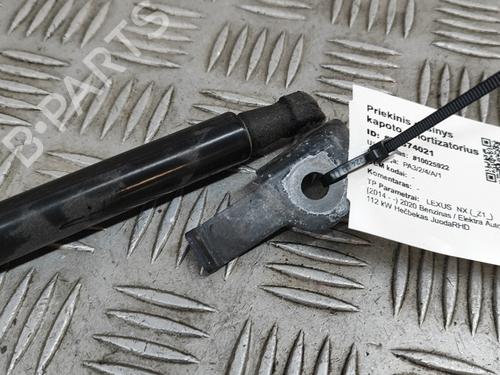 Hood lift support LEXUS NX (_Z1_) 300h AWD (AYZ15_, AYZ15R) | BP28432685C139