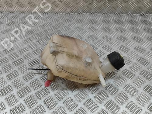 Ekspansjonstank RENAULT TWINGO II (CN0_) 1.2 16V (75 hp) 28045934