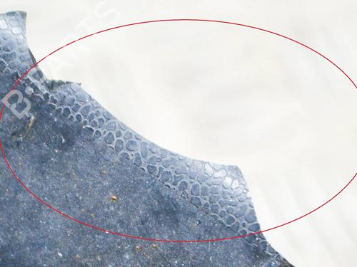 Front left seatbelt MERCEDES-BENZ S-CLASS Saloon (W108, W109) 280 S (108.016) | BP29541851I26 