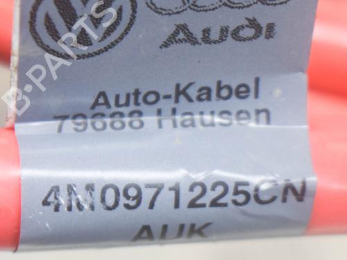 Cable AUDI Q7 (4MB, 4MG, 4MQ) SQ7 TDI quattro | BP14622885E12 