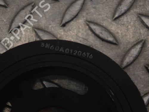 Pulley RENAULT MEGANE III Hatchback (BZ0/1_, B3_) 1.4 TCe (BZ0F, BZ1V) | BP30244471M122