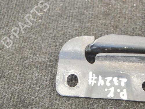 Hinge/Door check strap JAGUAR S-TYPE II (X200) R 4,2 V8 | BP14666114C146 
