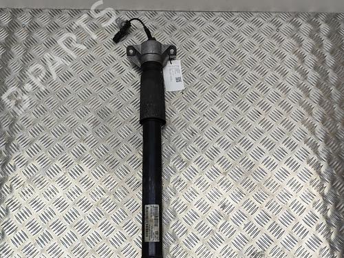 Used Right rear shock absorber BMW 7 (G11, G12) 730 d (265 hp) 19500781