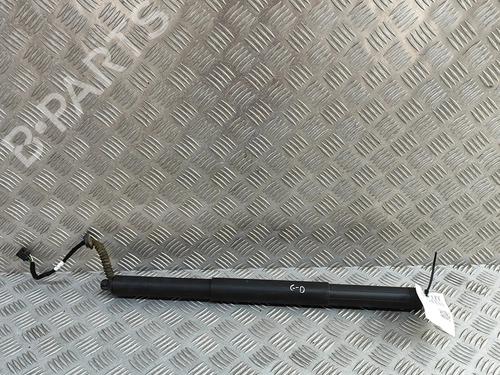 tailgate-lift-support-audi-q5-fyb-fyg-2016-33372747 main image