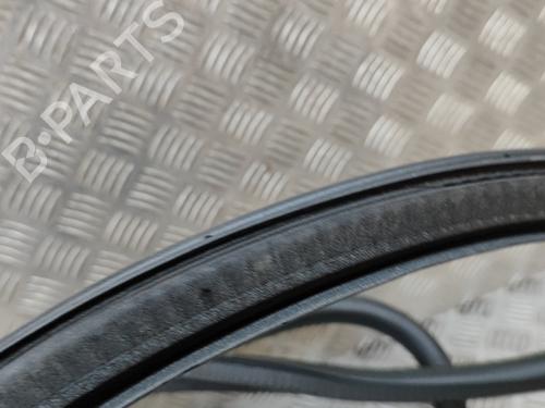 Rubber door seal FORD KUGA III (DFK) 2.5 FHEV | BP28562043C142
