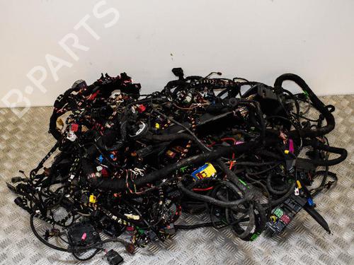 Kabelboom AUDI A4 B8 Avant (8K5) 3.0 TDI quattro | BP14657486E16