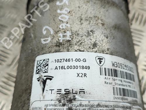 Right rear shock absorber TESLA MODEL X (5YJX) 90D AWD | BP31297112M19 